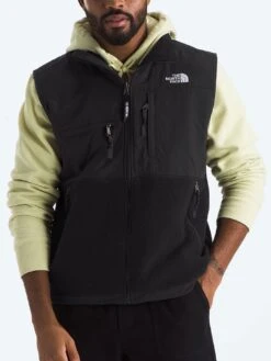 Retro Denali Vest(The North Face Retro Denali Vest Co)