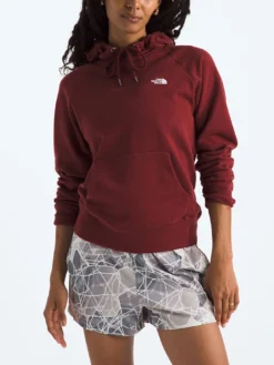 Evolution Hoodie(The North Face Evolution Hoodie Women Sp25) -ThinkEmpire Shop NF0A88ZW0VO 1