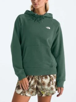 Evolution Hoodie(The North Face Evolution Hoodie Women Sp25)