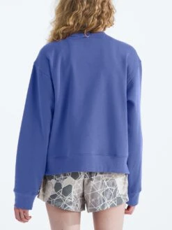 Evolution Crewneck(The North Face Evolution Crewneck Sp25) -ThinkEmpire Shop NF0A88ZX6IF in Indigo Plum 2