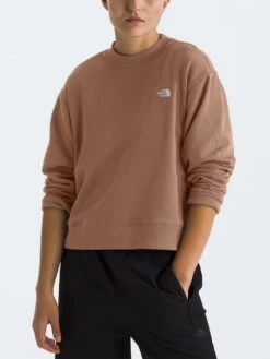 Evolution Crewneck(The North Face Evolution Crewneck Sp25)