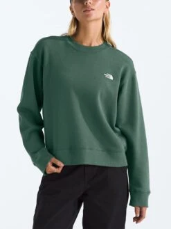 Evolution Crewneck(The North Face Evolution Crewneck Sp25) -ThinkEmpire Shop NF0A88ZXHCH in Duck Green 1