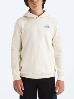 Box NSE Hoodie (Kids 7-14)(The North Face Box Nse Hoodie Kids 7 14 Sp25)