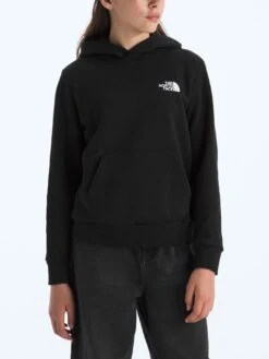 Evolution Box NSE Hoodie (Kids 7-14)(The North Face Evolution Box Nse Hoodie Kids 7 14 Co)