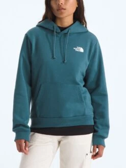 Evolution Box NSE Hoodie(The North Face Evolution Box Nse Hoodie Women Fa25)