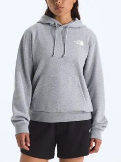 Evolution Box NSE Hoodie(The North Face Evolution Box Nse Hoodie Women Fa25) -ThinkEmpire Shop NF0A8CWQCQO BACK