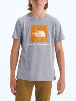 Evolution Print Box NSE T-Shirt (Kids 7-14)(The North Face Evolution Print Box Nse T Shirt Kid 7 14 Fa25)
