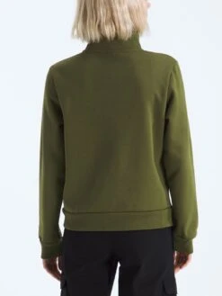 Evolution Simple Dome 1/4 Zip Sweater(The North Face Evolution Simple Dome 1 4 Zip Sweater Women Fa25) -ThinkEmpire Shop NF0A8ET5BRI BACK