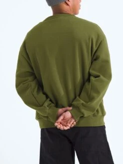 Evolution Simple Dome Crewneck Sweatshirt(The North Face Simple Dome Crewneck Sweatshirt Fa25) -ThinkEmpire Shop NF0A8FKRBRI BACK