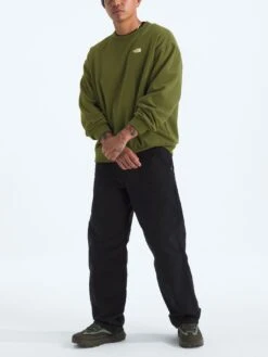 Evolution Simple Dome Crewneck Sweatshirt(The North Face Simple Dome Crewneck Sweatshirt Fa25) -ThinkEmpire Shop NF0A8FKRBRI HERO2