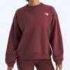 Evolution Simple Dome Oversized Crewneck Sweatshirt(Fa25 The North Face Chandail Col Rond Evolution Simple Dome Oversized Femtnf Cre Nf0a8fkt 2025 Fa25)
