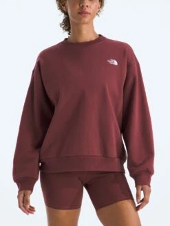Evolution Simple Dome Oversized Crewneck Sweatshirt(Fa25 The North Face Chandail Col Rond Evolution Simple Dome Oversized Femtnf Cre Nf0a8fkt 2025 Fa25)
