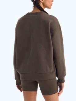 Evolution Simple Dome Oversized Crewneck Sweatshirt(Fa25 The North Face Chandail Col Rond Evolution Simple Dome Oversized Femtnf Cre Nf0a8fkt 2025 Fa25) -ThinkEmpire Shop NF0A8FKT1OI BACK