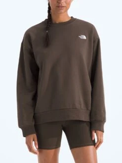 Evolution Simple Dome Oversized Crewneck Sweatshirt(Fa25 The North Face Chandail Col Rond Evolution Simple Dome Oversized Femtnf Cre Nf0a8fkt 2025 Fa25) -ThinkEmpire Shop NF0A8FKT1OI HERO