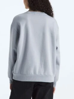 Evolution Simple Dome Oversized Crewneck Sweatshirt(Fa25 The North Face Chandail Col Rond Evolution Simple Dome Oversized Femtnf Cre Nf0a8fkt 2025 Fa25) -ThinkEmpire Shop NF0A8FKTBOB BACK