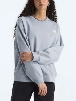 Evolution Simple Dome Oversized Crewneck Sweatshirt(Fa25 The North Face Chandail Col Rond Evolution Simple Dome Oversized Femtnf Cre Nf0a8fkt 2025 Fa25) -ThinkEmpire Shop NF0A8FKTBOB HERO