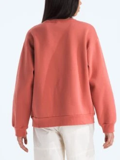 Evolution Simple Dome Oversized Crewneck Sweatshirt(Fa25 The North Face Chandail Col Rond Evolution Simple Dome Oversized Femtnf Cre Nf0a8fkt 2025 Fa25) -ThinkEmpire Shop NF0A8FKTBOU BACK