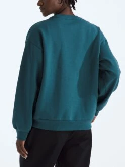 Evolution Simple Dome Oversized Crewneck Sweatshirt(Fa25 The North Face Chandail Col Rond Evolution Simple Dome Oversized Femtnf Cre Nf0a8fkt 2025 Fa25) -ThinkEmpire Shop NF0A8FKTBQ5 BACK