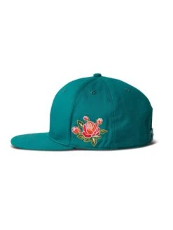 Colorado Snapback Hat(Primitive Colorado Snapback Hat Sp25) -ThinkEmpire Shop PA125H11 COLORADOSNAPBACK SAGE L