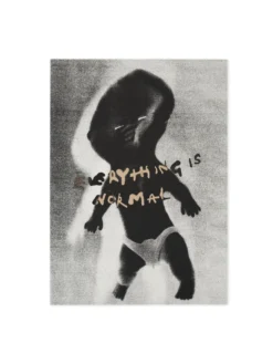 Polar Skate Co Everything Is Normal Book(Polar Everything Is Normal Book 2024)