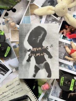 Polar Skate Co Everything Is Normal Book(Polar Everything Is Normal Book 2024) -ThinkEmpire Shop Polar Skate Co SU24 EIN Everythi4