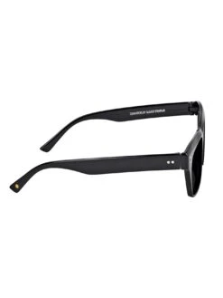 Santos Polarized Sunglasses(Glassy Santos Polarized Sunglasses) -ThinkEmpire Shop Sunhaters SantosPolarized Black