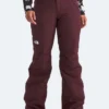 Freedom Insulated Snow Pants (Women)(The North Face Freedom Insulated Snow Pants Wt25)