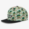Toad Afloat Snapback Hat (Kids)(Headster Toad Afloat Snapback Hat Kids Sp25)