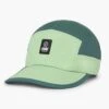 Gocap Sc Classic C Plus Box Pistachio/Silver Pine Strapback Hat(Ciele Gocap Sc Classic C Plus Box Pistachio Silver Pine Strapback Hat Fa25)