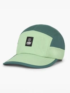 Gocap Sc Classic C Plus Box Pistachio/Silver Pine Strapback Hat(Ciele Gocap Sc Classic C Plus Box Pistachio Silver Pine Strapback Hat Fa25)