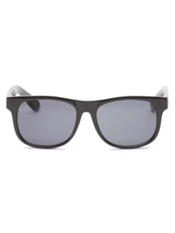 Spicoli Sunglasses (Kids)(Vans Spicoli Sunglasses Kids)