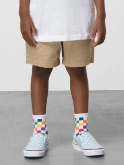 Range Elastic Waist Shorts (Boys 2-7)(Vans Range Elastic Waist Shorts Boys 2 7 Co)