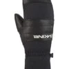 Baron Gore-Tex Mitts (Women)(Dakine Baron Gore Tex Snowboard Mitts Women Wt24)