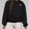Evolution Crewneck Sweatshirt(The North Face Evolution Crewneck Sweatshirt Women Co)