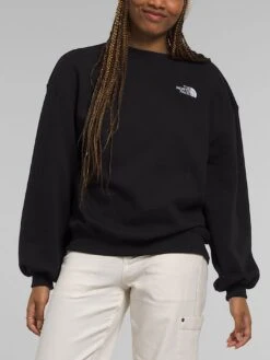 Evolution Crewneck Sweatshirt(The North Face Evolution Crewneck Sweatshirt Women Co)