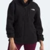 Yumiori Full Zip Polar Vest(The North Face Yumiori Full Zip Polar Vest Co)