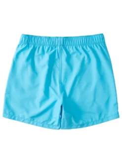 All Day Layback Boardshorts (Boys 7-14)(Billabong All Day Layback Boardshorts Boys 7 14 Co) -ThinkEmpire Shop abbbs00119 billabong f cyn bck1
