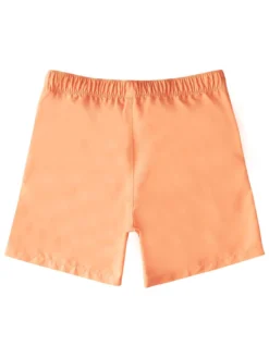 All Day Layback Boardshorts (Boys 7-14)(Billabong All Day Layback Boardshorts Boys 7 14 Co) -ThinkEmpire Shop abbbs00119 billabong f mel bck1