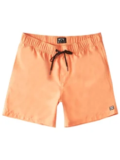 All Day Layback Boardshorts (Boys 7-14)(Billabong All Day Layback Boardshorts Boys 7 14 Co) -ThinkEmpire Shop abbbs00119 billabong f mel frt1