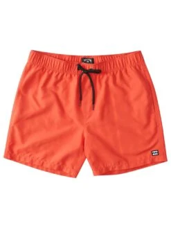 All Day Layback Boardshorts (Boys 2-7)(Billabong All Day Layback Boardshorts Boys 2 7 Co)