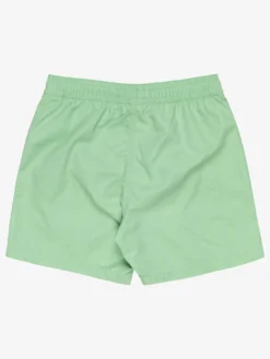 All Day Layback Boardshorts (Boys 7-14)(Billabong All Day Layback Boardshorts Boys 7 14 Sp25) -ThinkEmpire Shop ebbjv00115 billabong f ghh0 bck1