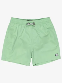 All Day Layback Boardshorts (Boys 7-14)(Billabong All Day Layback Boardshorts Boys 7 14 Sp25) -ThinkEmpire Shop ebbjv00115 billabong f ghh0 frt1