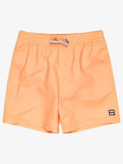 All Day Layback Boardshorts (Boys 7-14)(Billabong All Day Layback Boardshorts Boys 7 14 Sp25)