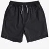 Taxer 15'' Elasticated Short (Boys 7-14)(Quiksilver Taxer Elasticated Short Boys 7 14 Co)