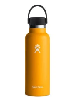 18oz Standard Mouth With Flex Cap Starfish Bottle(Hydro Flask Standard Mouth With Flex Cap 18oz Bottle Starfish Co)