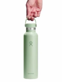 24oz Standard Flex Aloe Bottle(Hydro Flask 24oz Standard Flex Aloe Bottle Sp25) -ThinkEmpire Shop s24csx338 21 oz standard flex c2