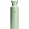 24oz Standard Flex Aloe Bottle(Hydro Flask 24oz Standard Flex Aloe Bottle Sp25)