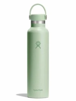 24oz Standard Flex Aloe Bottle(Hydro Flask 24oz Standard Flex Aloe Bottle Sp25)