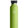 24oz Standard Mouth With Flex Cap Seagrass Bottle(Hydro Flask Standard Mouth With Flex Cap 24oz Seagrass Co)