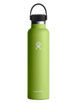 24oz Standard Mouth With Flex Cap Seagrass Bottle(Hydro Flask Standard Mouth With Flex Cap 24oz Seagrass Co)